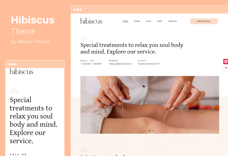 Thème Hibiscus - Thème WordPress pour la médecine alternative et la boutique bio