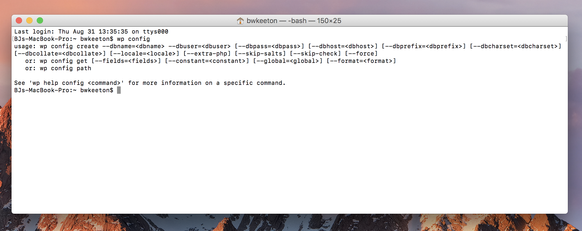 WordPress 的命令行提示