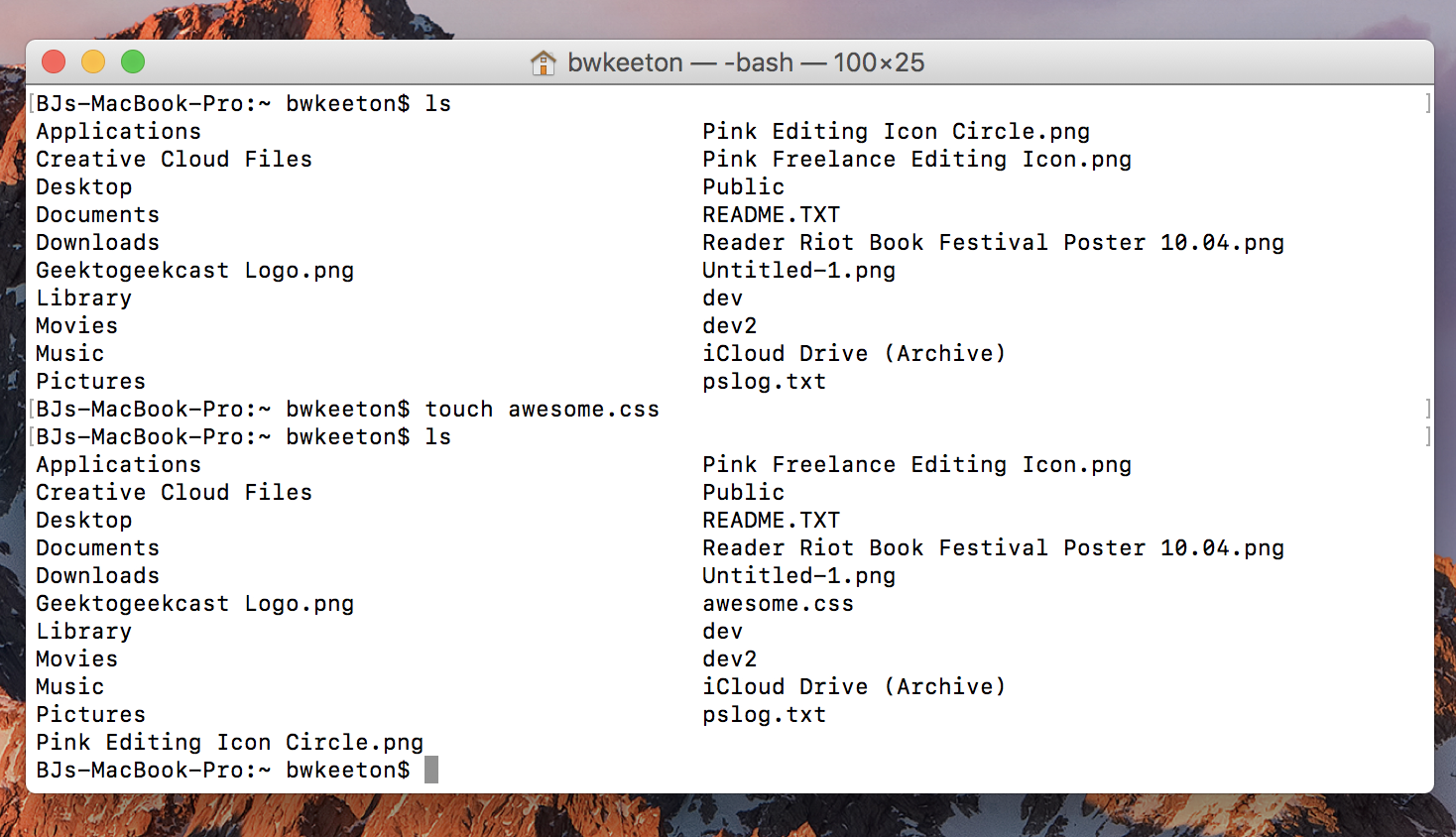WordPress 的命令行提示