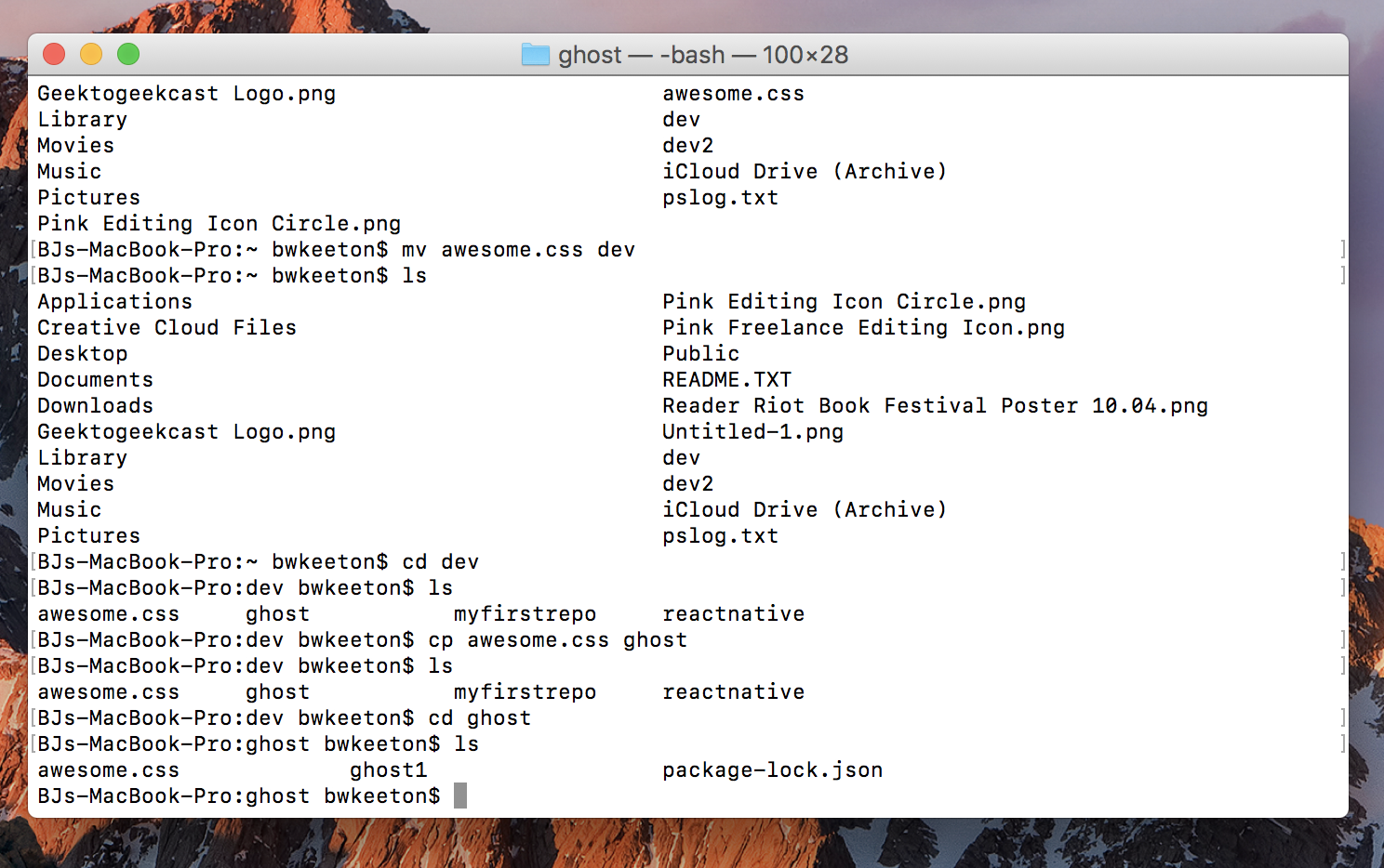 WordPress 的命令行提示
