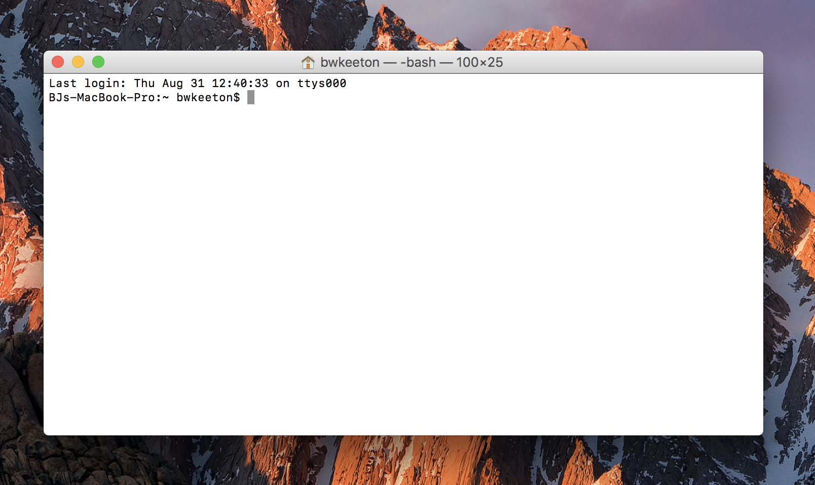 WordPress 的命令行提示