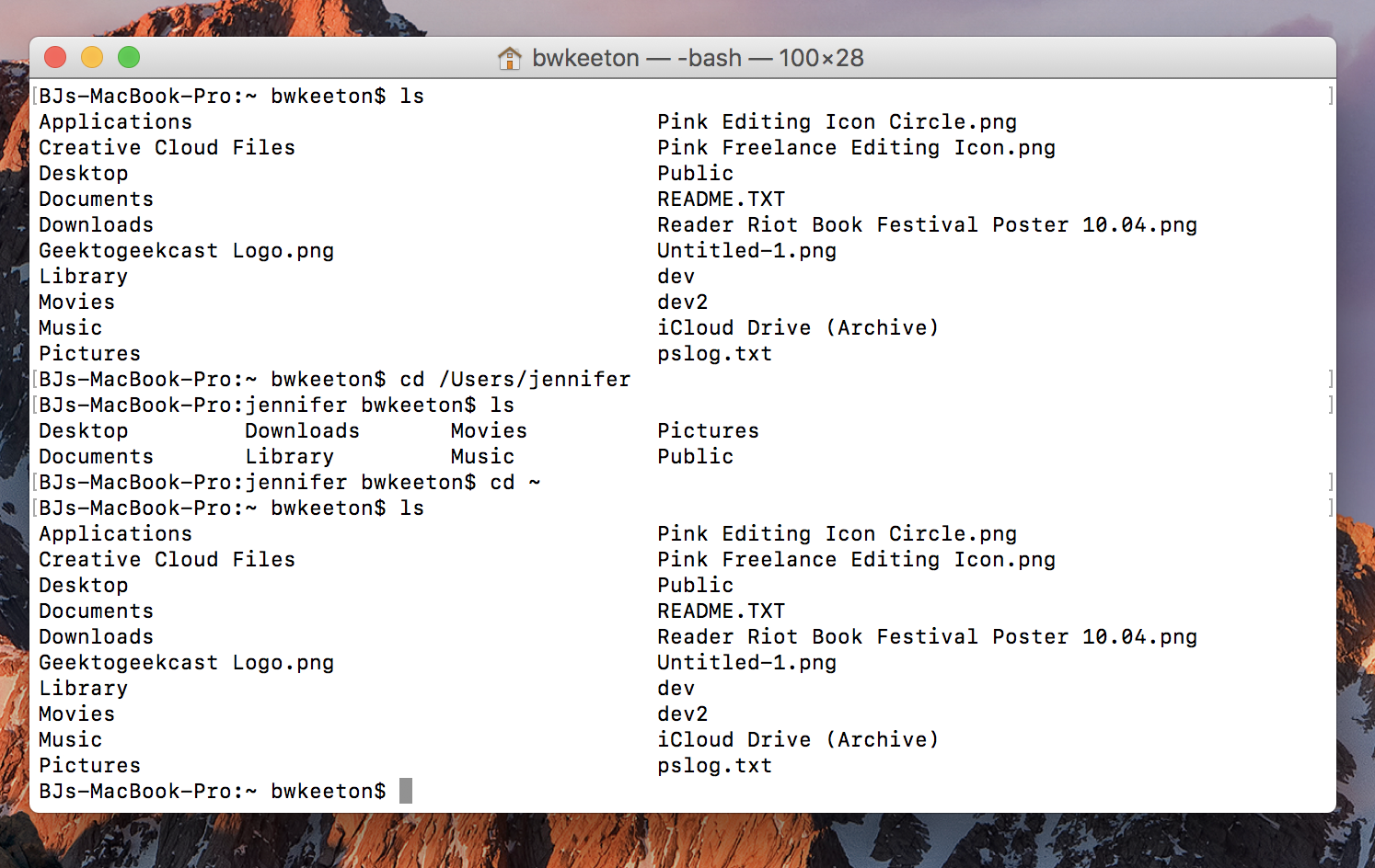 WordPress 的命令行提示