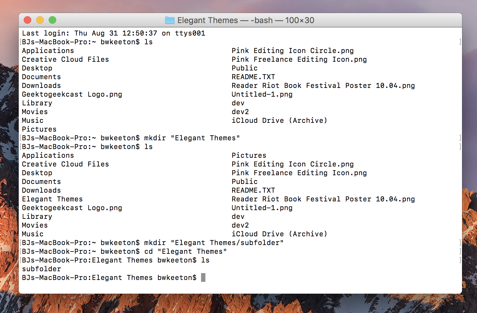 WordPress 的命令行提示