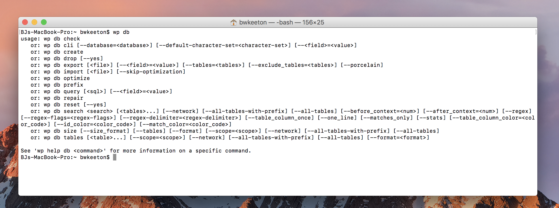 WordPress 的命令行提示