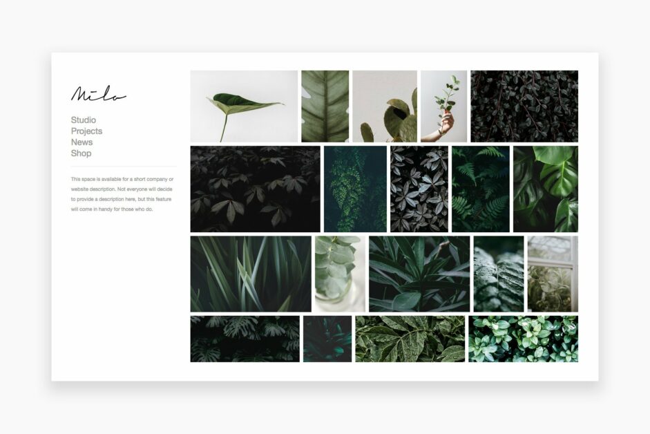 Thèmes WordPress simples - Le meilleur pour votre 2023 79 milo theme