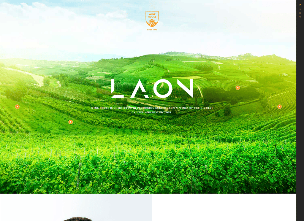 Laon - Wine House, Vineyard & Liquor WordPress 主题