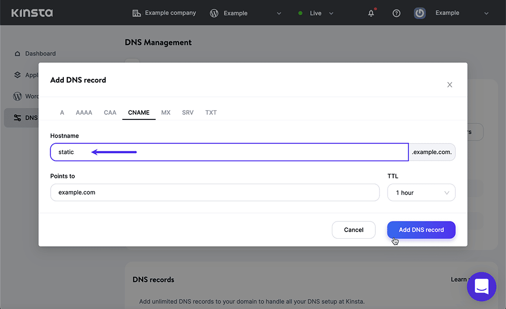 屏幕截图:在 MyKinsta 中创建 DNS 记录。