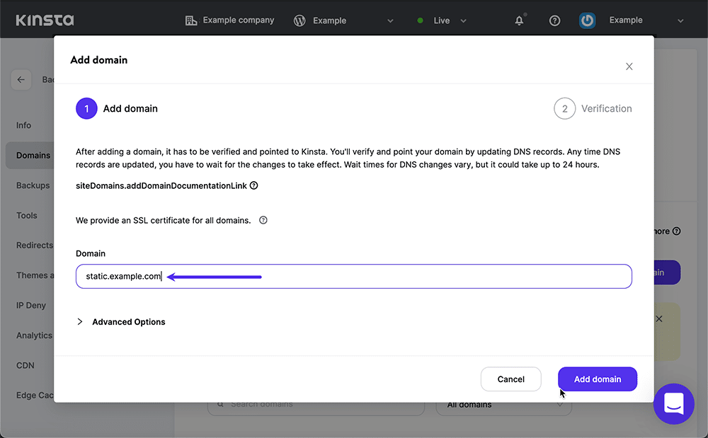 屏幕截图:在 MyKinsta 中键入新域名。