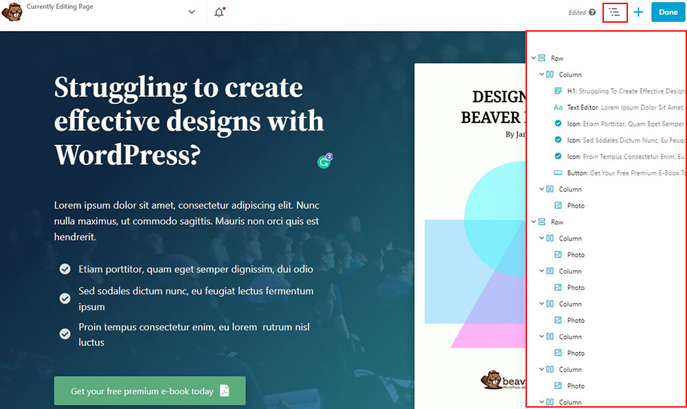 Beaver Builder Sayfa Yapısı