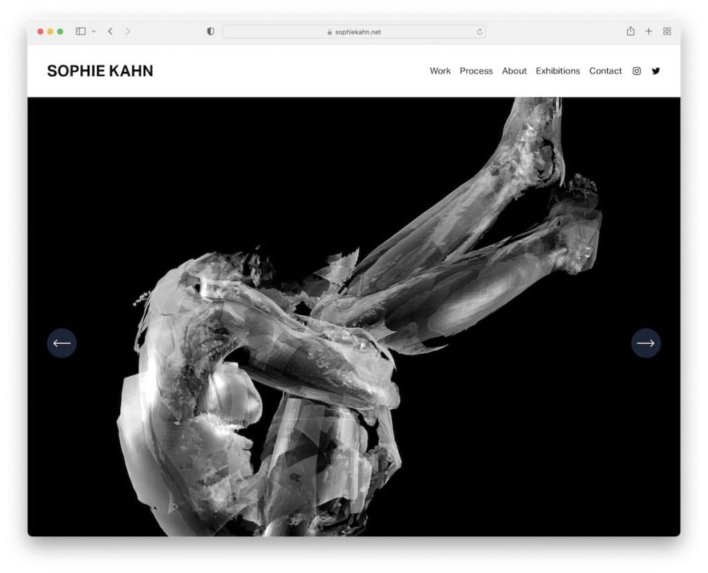 sitio web de la cartera de arte de sophie kahn