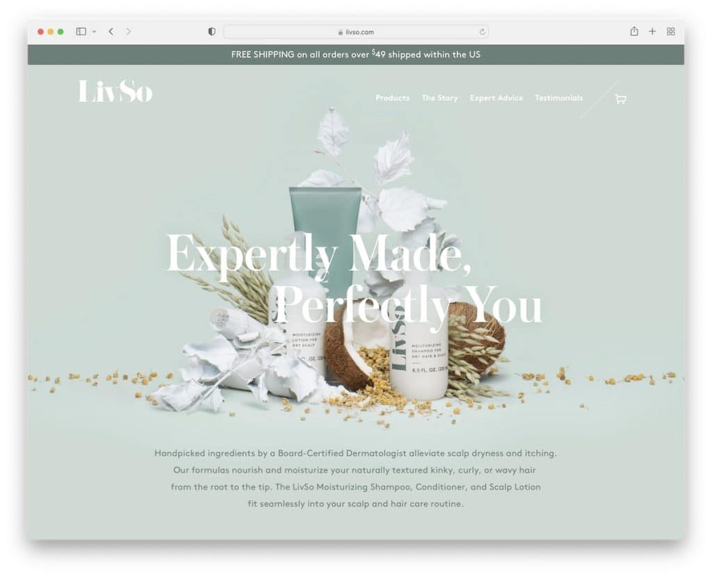 site Web de la petite entreprise livso