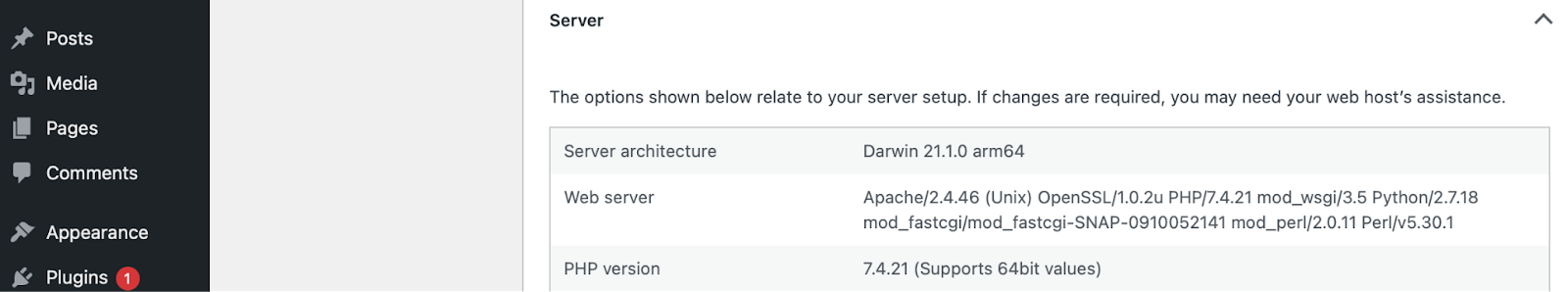 informations sur le serveur à l'intérieur de la santé du site WordPress