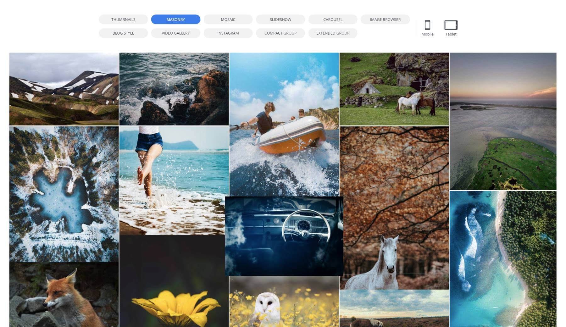 10web WordPress تخطيطات البرنامج المساعد معرض
