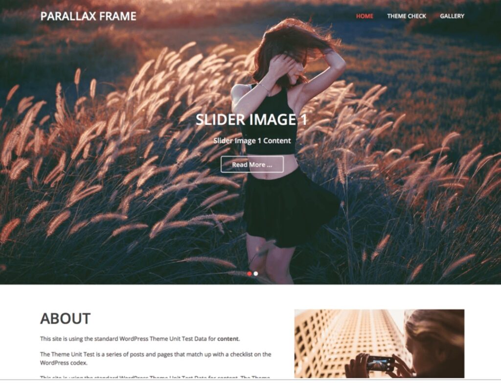 Paralaks WordPress muhasebe temasının önizlemesi