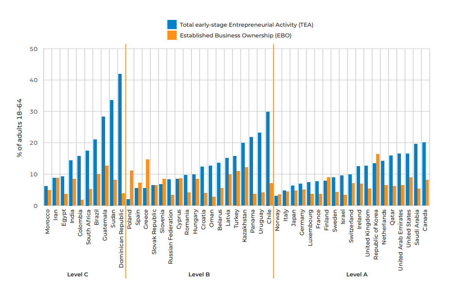 Gesamtheit der unternehmerischen Tätigkeit in der Frühphase