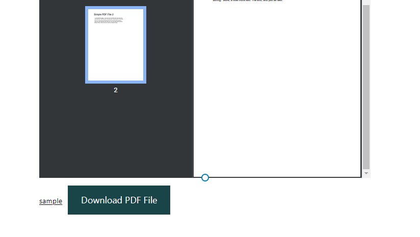 Yüklenen PDF Dosyası
