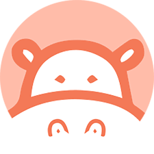 6+ Best Screen Recorder Chrome Extension Gratuito 2023 8 hippo video 245