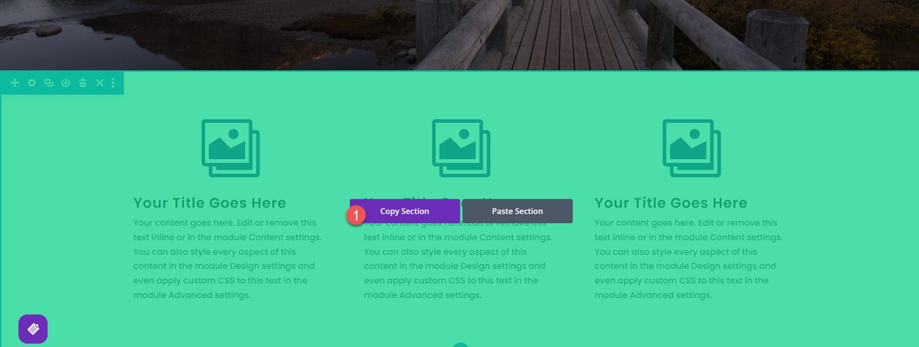 Divi Plugin Highlight Divi/Gutenberg/Woo Междоменная система копирования и вставки содержимого (CCPS) Раздел копирования Visual Builder