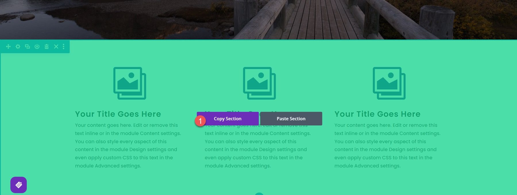 Divi Plugin Highlight Divi/Gutenberg/Woo Cross-Domain Content Copy Paste System (CCPS) Visual Builder Copy Section