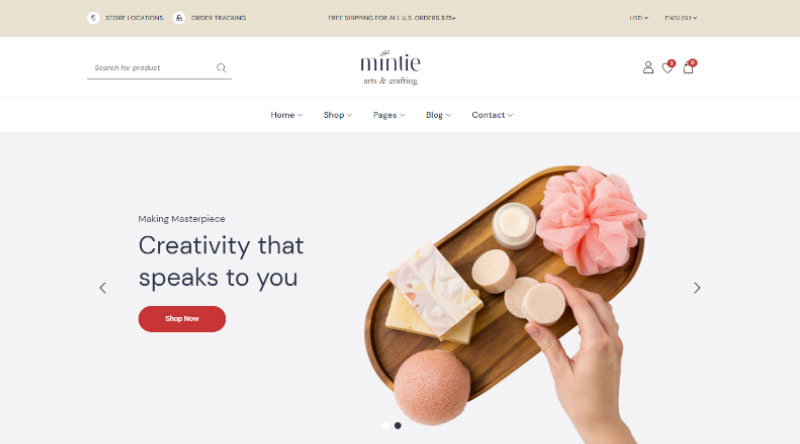 20 فكرة لموقع ويب لكسب المال باستخدام WordPress 10 Mintie WP Theme