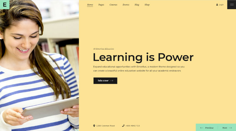 20 فكرة لموقع الويب لكسب المال باستخدام WordPress 6 Emeritus WordPress Theme