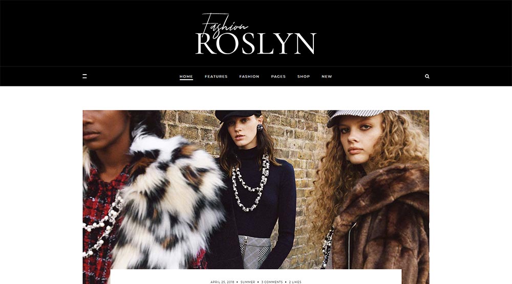 20 فكرة لموقع الويب لكسب المال باستخدام WordPress 17 Roslyn-WordPress-Theme