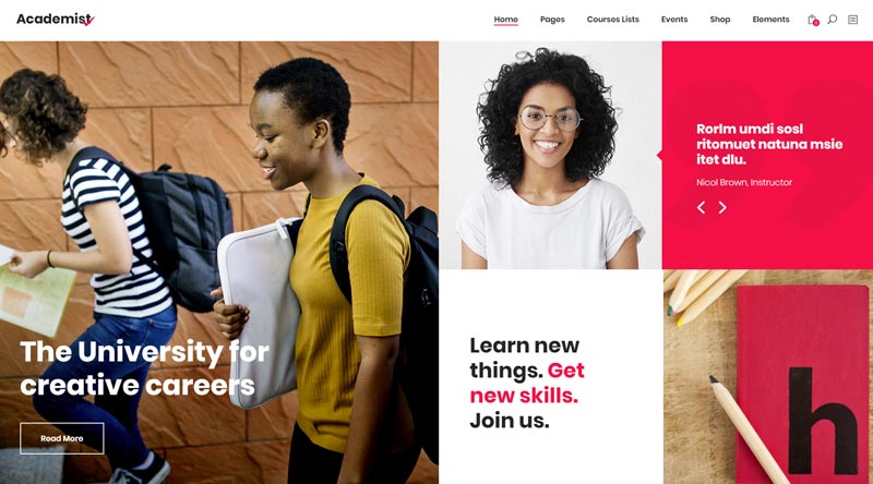 20 فكرة لموقع الويب لكسب المال باستخدام WordPress 15 Academist WordPress Theme