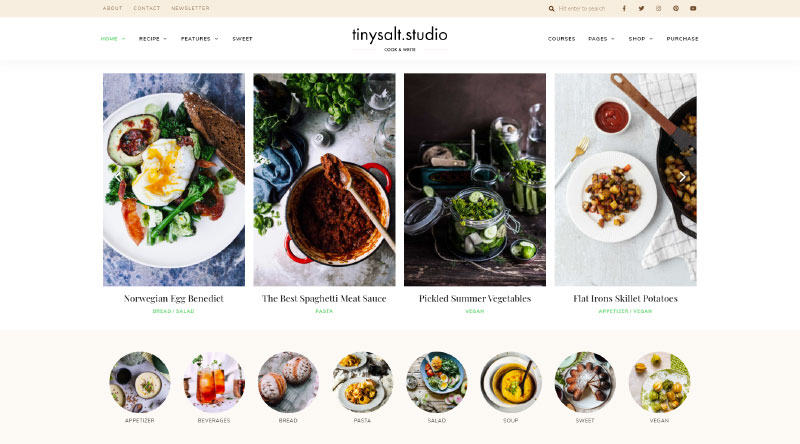 20 فكرة لموقع الويب لكسب المال باستخدام WordPress 8 TinySalt WordPress Theme