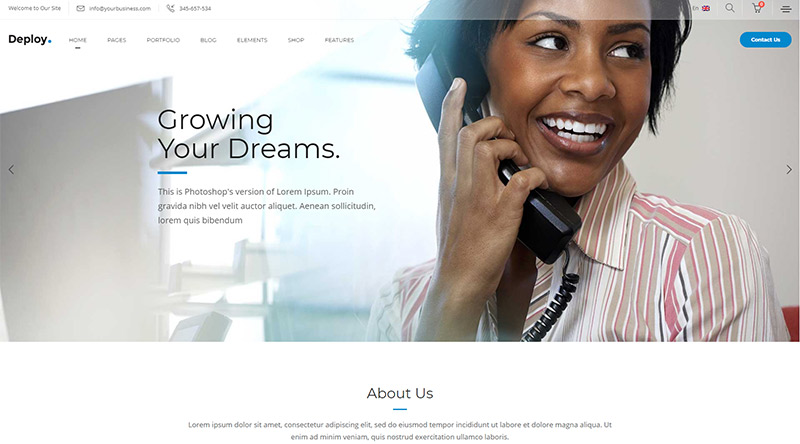 20 فكرة لموقع ويب لكسب المال باستخدام WordPress 13 Deploy WordPress theme