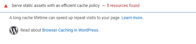 Google PageSpeed ​​Insights Memanfaatkan Peringatan Caching Peramban