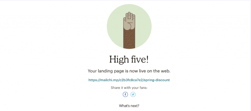 Целевая страница Mailchimp создана