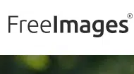 2023 年为 WordPress 寻找免费图片的 11 个最佳地点 11 FreeImages