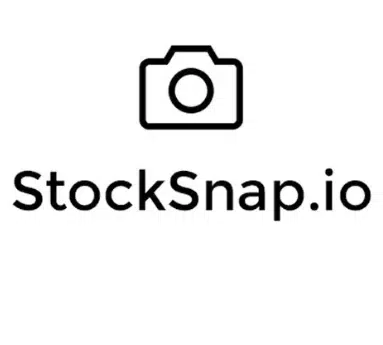 2023 年为 WordPress 寻找免费图片的 11 个最佳地点 5 StockSnap.io