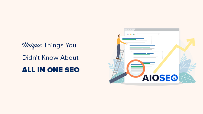 您不知道的关于 WordPress 的多合一 SEO 的事情 Things you didn't know about All in One SEO for WordPress