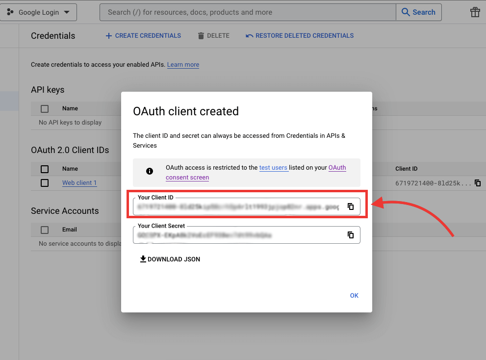 谷歌一鍵登錄 WordPress 13 上的潛在客戶生成 google api s 11