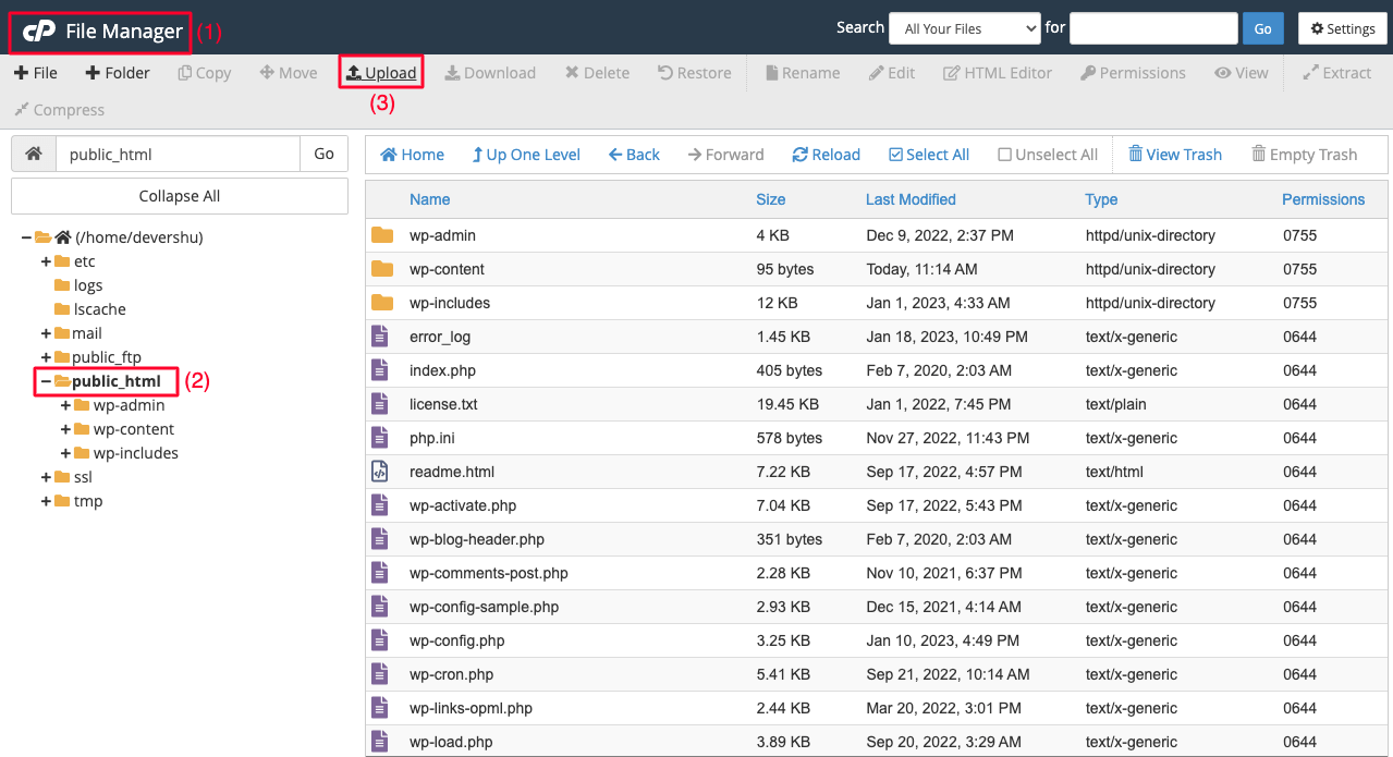 So erstellen Sie eine Sitemap und übermitteln sie an Google und andere Suchmaschinen 17 Upload XML Sitemap to Domain Root File
