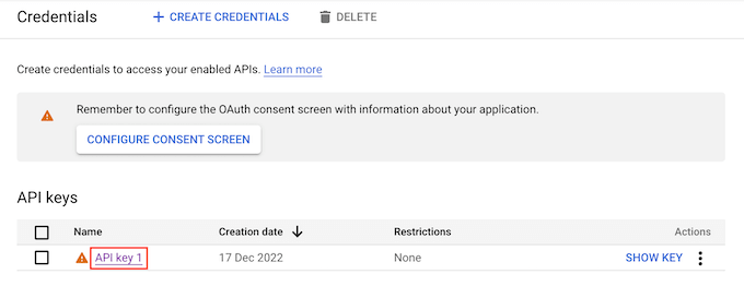 Google API 키 편집 Editing a Google API key