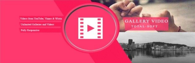 wordpress 視頻主題