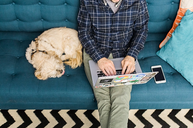 homem digitando no laptop sentado no sofá azul com cachorro