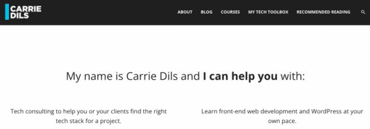 Captura de tela do site de Carrie Dils