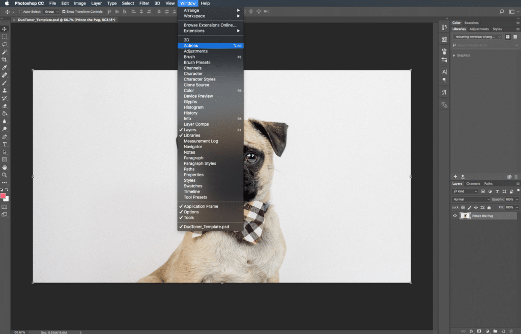 photoshop 雙色調動作窗口