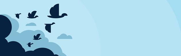 WordPress-Migrationstools