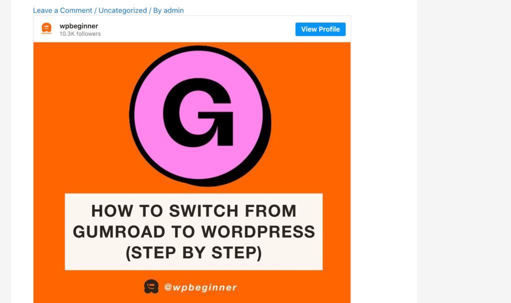 WordPress의 Instagram 게시물 예 An example of an Instagram post in WordPress