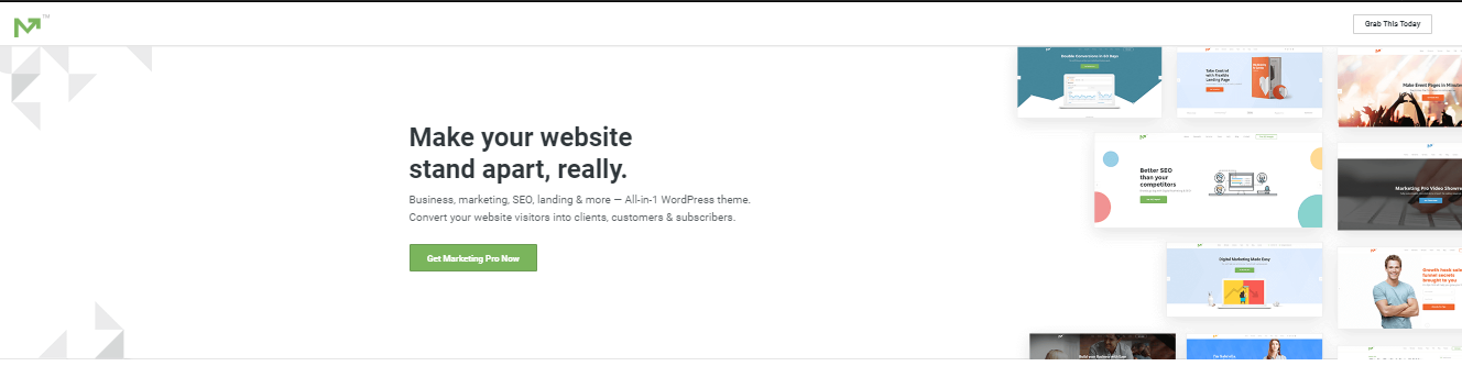 Memasarkan Tema WordPress Pro-SEO