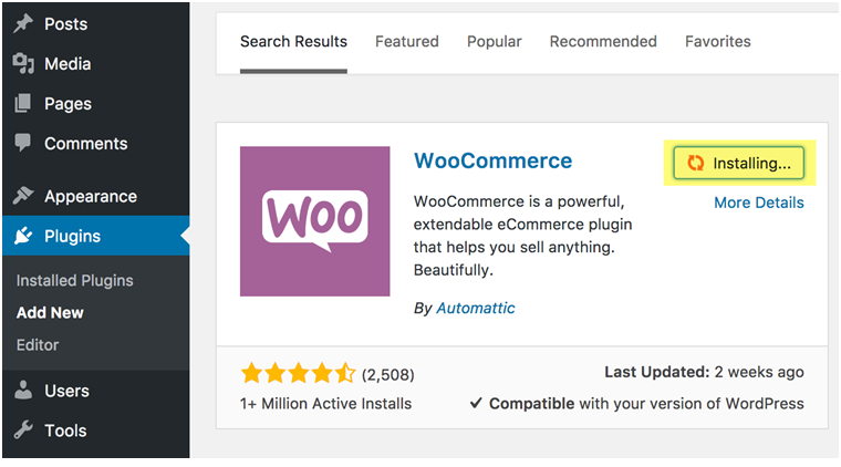 Panduan Lengkap untuk Menyiapkan Gateway Pembayaran WooCommerce Stripe 4 Woocommerce Stripe