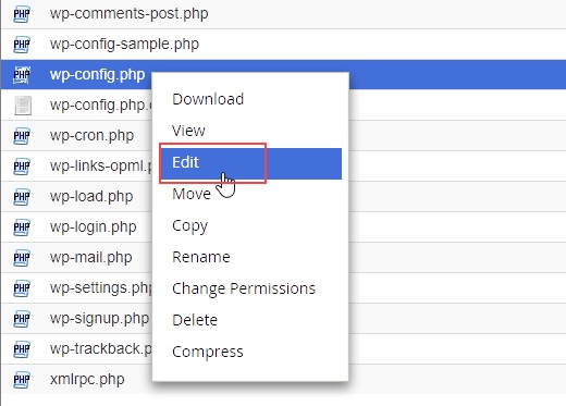 edição de configuração wp