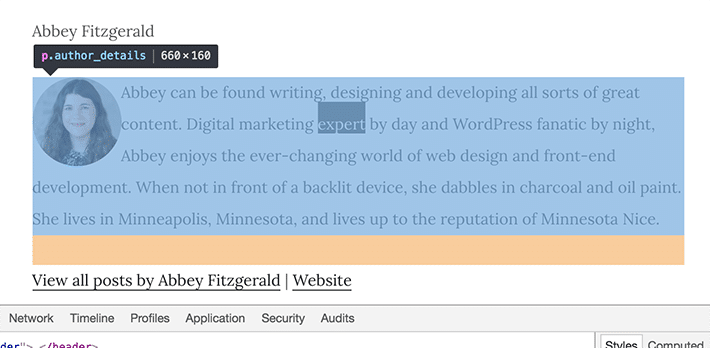 作者簡介 wordpress 檢查