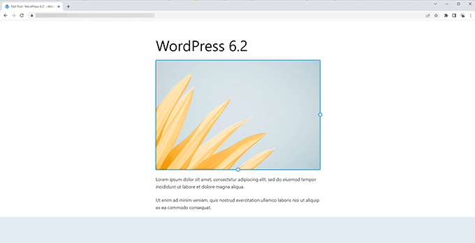 WordPress 6.2 中的无干扰编辑器 Distraction free editor in WordPress 6.2