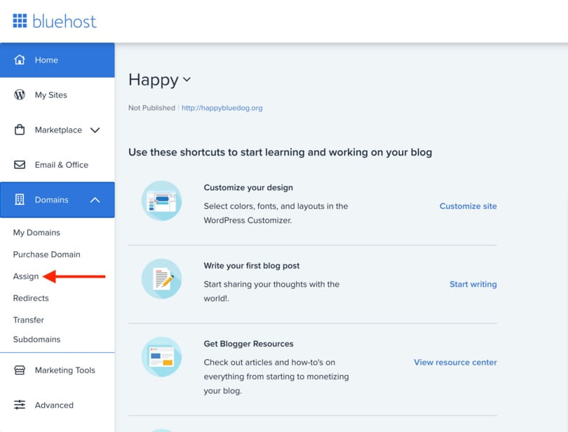 Bluehost 公园域名第一步