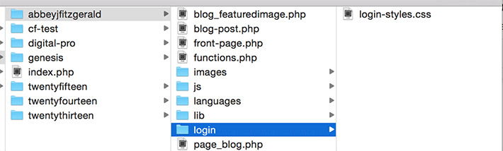 位于 WordPress 网站活动主题中的登录文件夹